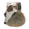 AFP® - Hedgehog/Hérison