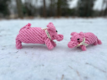 Load image into Gallery viewer, Knotty Pawz - Pinky Piggy Rope Dog Toy/Jouet en corde pour chien Pinky Piggy
