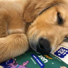Load image into Gallery viewer, NATPAT - Pet Calming Sticker/Autocollant apaisant pour animaux de compagnie (28)
