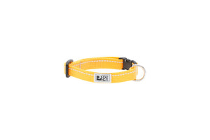 RC Pets - Petite Primary Clip Collar/Petit Collier de Base