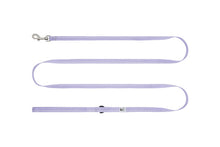 Charger l&#39;image dans la galerie, RC Pets - Petite Primary Leash/Petite laisse primaire
