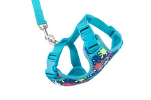 Load image into Gallery viewer, RC Pets - Adventure Kitty Harness/Harnais pour chaton d'aventure (M)
