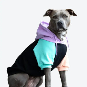 Spark Paws - Cyber Punk Dog Hoodie/Sweat à capuche Cyberpunk pour chien