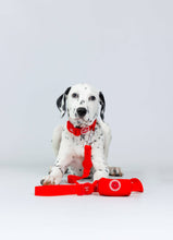 Load image into Gallery viewer, Poop Bag Holder - Red
