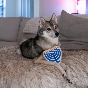 Midlee - Hanukkah Menorah/Menorah de Hanoukka