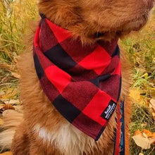 Load image into Gallery viewer, Rocky Mountain Dog - Flannel Bandana/Bandana en flanelle
