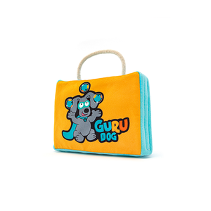 GURU® Juggling GURU Fun Box Large Dog Toy