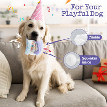 Load image into Gallery viewer, Fuzzwoof - Squeaky Birthday Cake Toy/Jouet de gâteau d'anniversaire qui grince
