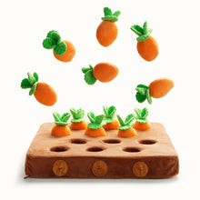 Load image into Gallery viewer, Nocciola - Food Dispensing Carrot Farm Enrichment Toy/Jouet d'enrichissement « Ferme de carottes distributeur de nourriture »
