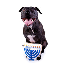 Load image into Gallery viewer, Midlee - Hanukkah Menorah/Menorah de Hanoukka
