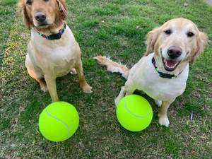 Jumbo Tennis Ball