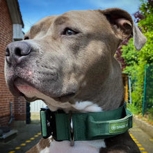 Load image into Gallery viewer, Spark Paws - Tactical Dog Collar/Collier tactique pour chien
