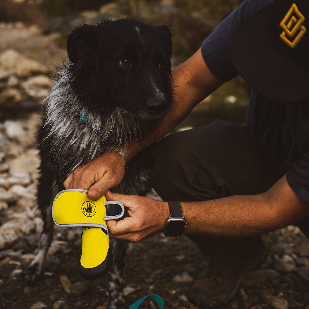 Body Glove - Paw Protector Booties/Chaussons de protection pour pattes