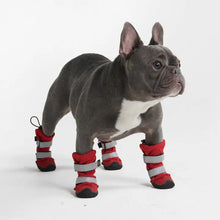 Charger l&#39;image dans la galerie, Spark Paws - Dog Boots/Bottes pour Chiens - Red/Rouge
