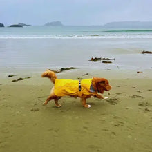 Load image into Gallery viewer, Rocky Mountain Dog - Tofino Rain Jacket/Veste imperméable Tofino
