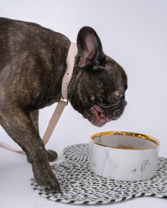 Grey Marble Dog Bowl with Gold Accent