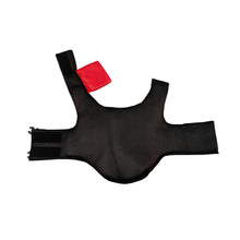 Load image into Gallery viewer, Body Glove - Ripstop Pet Life Jacket/Gilet de sauvetage pour animaux en tissu ripstop
