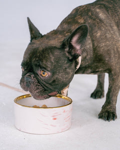 Blush Pink Marble Dog Bowl with Gold Accent