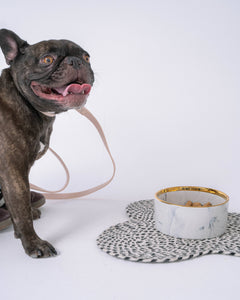 Grey Marble Dog Bowl with Gold Accent