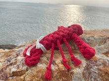 Charger l&#39;image dans la galerie, Knotty Pawz - Ocean Pals Rope Toys/Jouets en corde Ocean Pals
