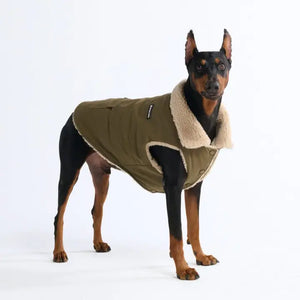 Spark Paws® Workdog Insulated Utility Jacket/Veste utilitaire isolée - Green/Vert