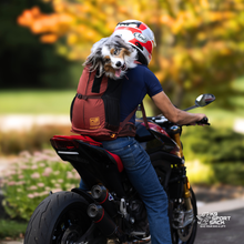 Load image into Gallery viewer, Knavigate | Advanced Dog Carrier with Internal Frame &amp; Hip Belt
