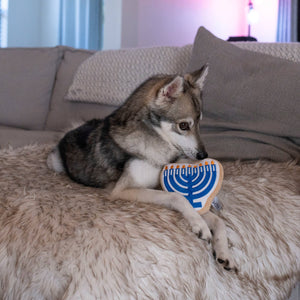 Midlee - Hanukkah Menorah/Menorah de Hanoukka
