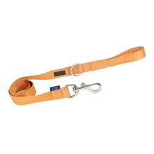 Load image into Gallery viewer, Ancol® -Heritage Spin Lock Lead/Laisse Heritage Spin Lock
