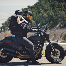 Load image into Gallery viewer, Knavigate | Advanced Dog Carrier with Internal Frame &amp; Hip Belt
