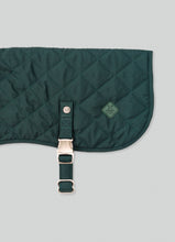 Load image into Gallery viewer, Hackett x Hugo &amp; Hudson - Forest Green Quilted Dog Jacket/Veste matelassée pour chien vert forêt
