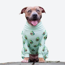 Load image into Gallery viewer, Spark Paws - Dog Pajama/Pyjama pour chien - Avocado

