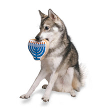 Load image into Gallery viewer, Midlee - Hanukkah Menorah/Menorah de Hanoukka
