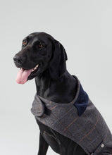 Load image into Gallery viewer, Hackett x Hugo Hudson - Grey Checked Tweed Dog Jacket/Veste pour chien en tweed à carreaux gris
