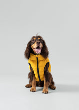 Load image into Gallery viewer, Hackett x Hugo Hudson Dog Puffer Jacket, Forest Green &amp; Gold
