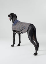 Load image into Gallery viewer, Hackett x Hugo Hudson - Grey Checked Tweed Dog Jacket/Veste pour chien en tweed à carreaux gris
