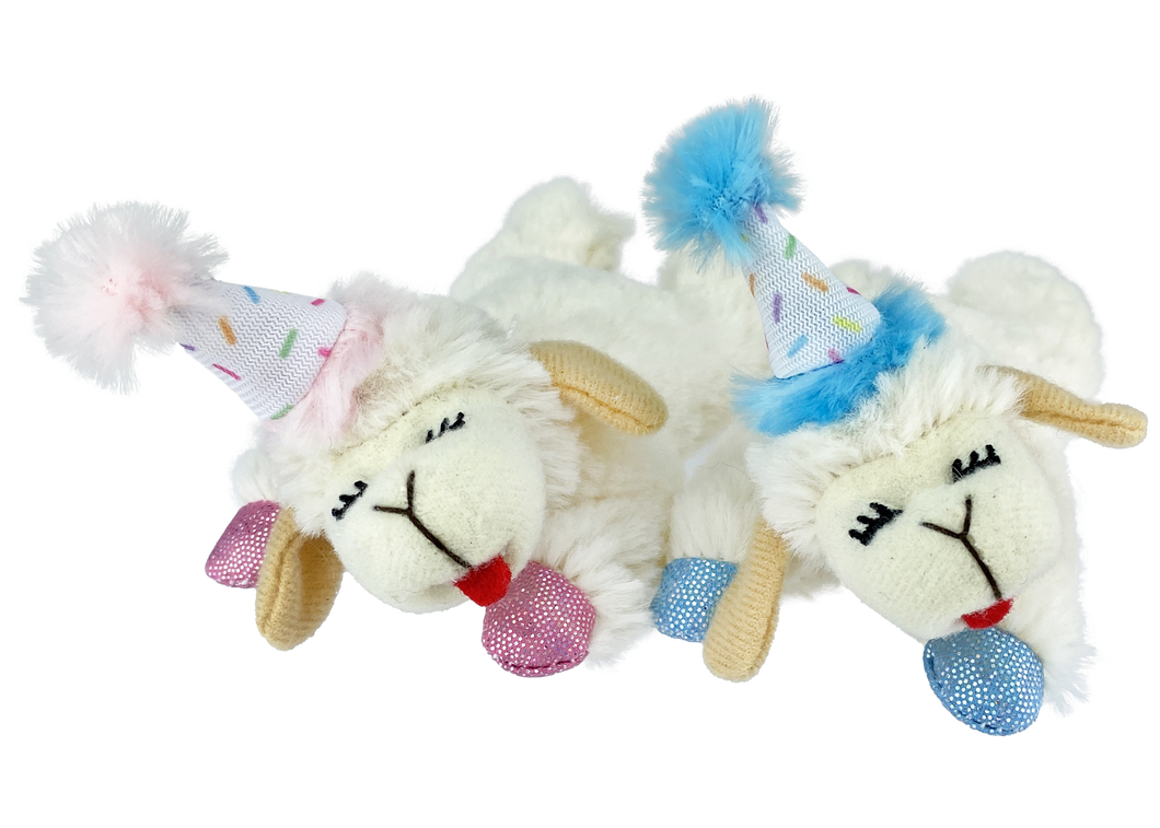 Multipet™ Lamb Chop® Birthday 4.5