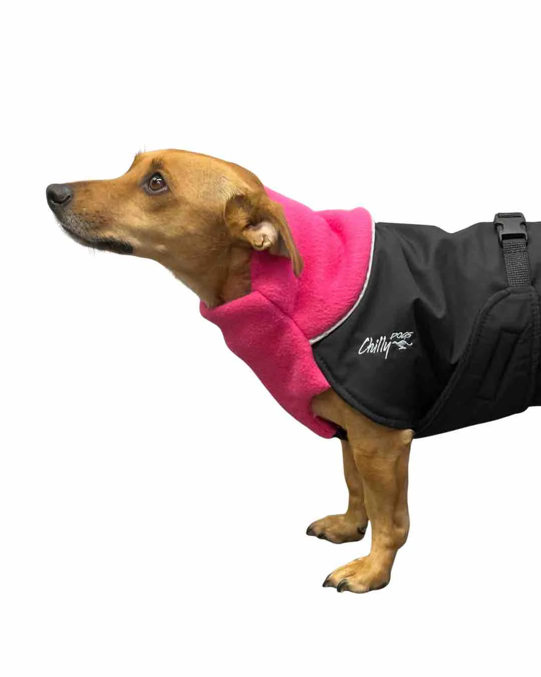 Chilly Dogs Great White North Winter Coat (Standard Sizes