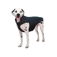 Load image into Gallery viewer, Shedrow K9 Brentwood Quilted Dog Coat
