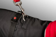 Charger l'image dans la galerie, Chilly Dogs - Great White North™ (with Harness Hole/avec une ouverture pour un harnais)
