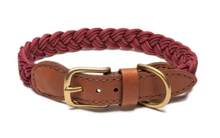 Charger l&#39;image dans la galerie, Knotty Pets - Braided Collar
