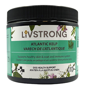 LIVSTRONG Atlantic Kelp Dog & Cat Health Support (100g)