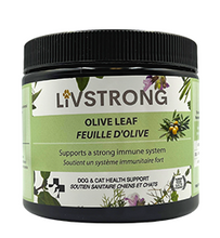 Load image into Gallery viewer, LIVSTRONG Olive Leaf Dog &amp; Cat Health Support (100g)
