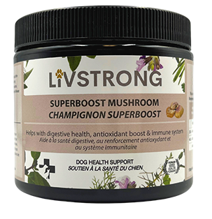 LIVSTRONG Mushroom SuperBoost Dog & Cat Health Support (130g)