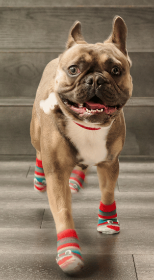 Pawks deals