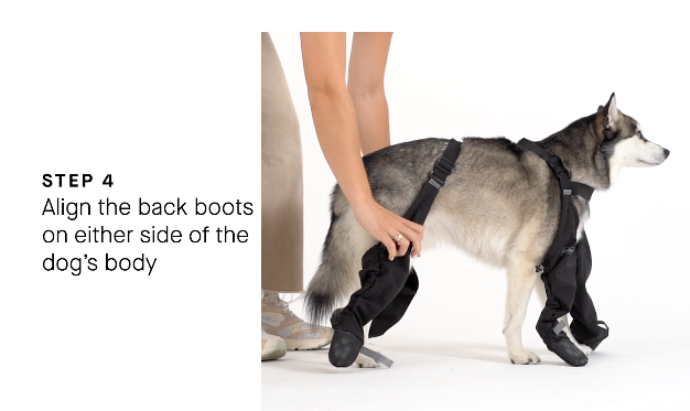 Canine sales footwear suspenders