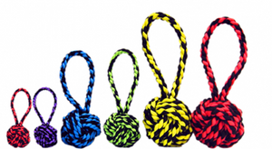 Multipet™ Nuts for Knots™ With Tug Dog Toy (assorted colours)