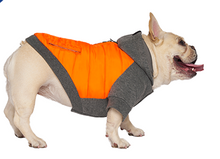 Load image into Gallery viewer, Canada Pooch® Hybrid Hoodie Jacket Charcoal/Orange Size
