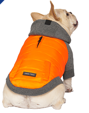 Canada pooch hoodie hot sale