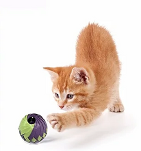 Load image into Gallery viewer, Roli Cat Treat Ball by Goli Design

