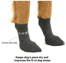 Charger l&#39;image dans la galerie, Kurgo Blaze Dog Socks Grey Set Of 4
